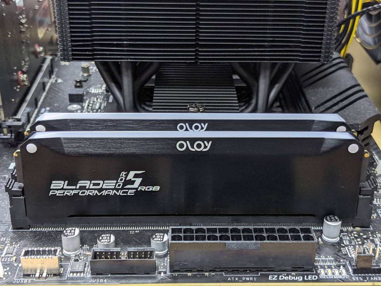 OLOy Blade RGB (OLOY) 32GB (2 x 16GB) 288-Pin PC RAM DDR5 6000 (PC5 48000) Desktop Memory Model ND5U1660306BRKDA